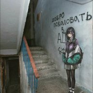 Strix_34